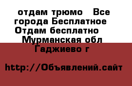 отдам трюмо - Все города Бесплатное » Отдам бесплатно   . Мурманская обл.,Гаджиево г.